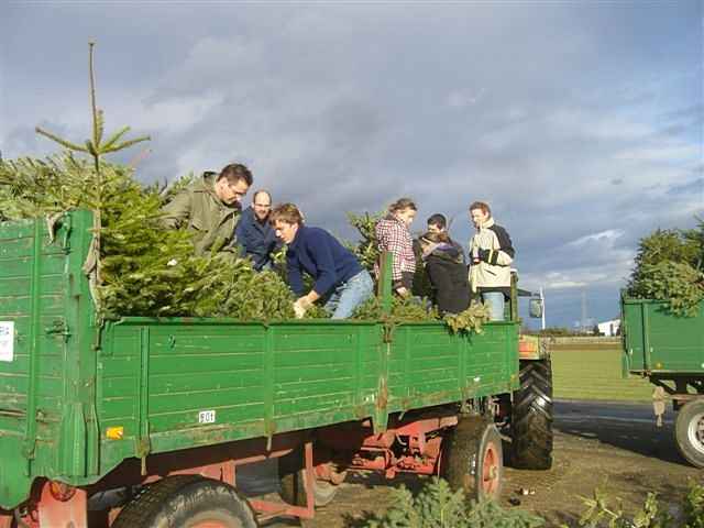 Weihnachtsbaum-Sammlung 2011