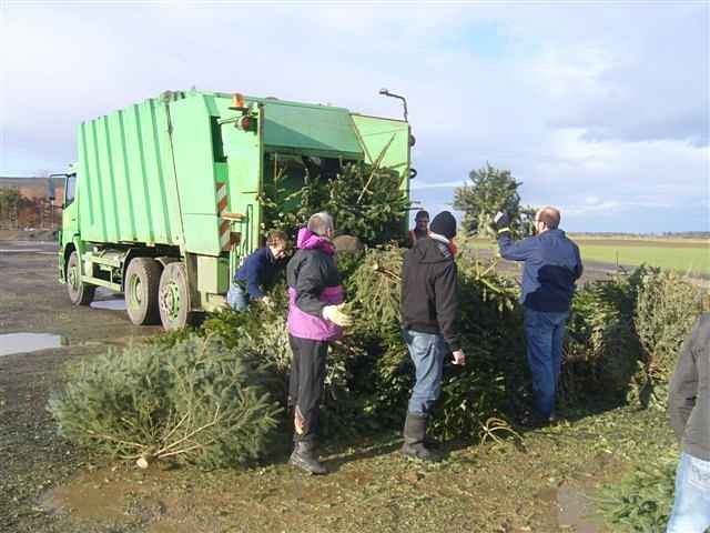 Weihnachtsbaum-Sammlung 2011