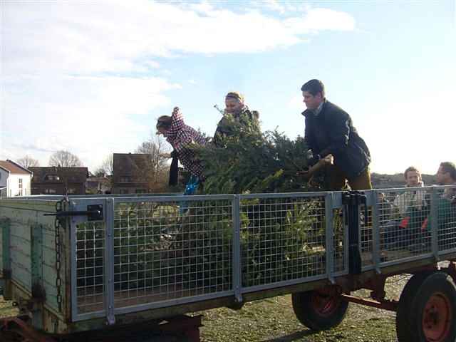 Weihnachtsbaum-Sammlung 2011