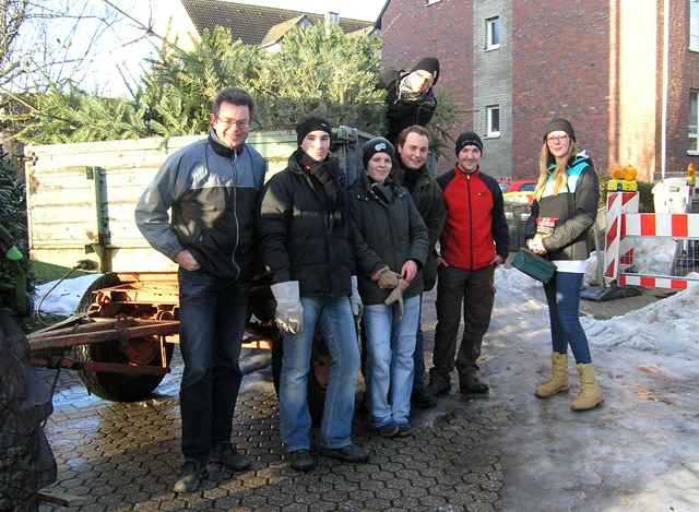 Weihnachtsbaum-Sammlung 2011