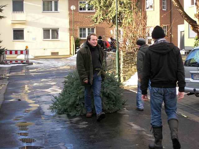 Weihnachtsbaum-Sammlung 2011