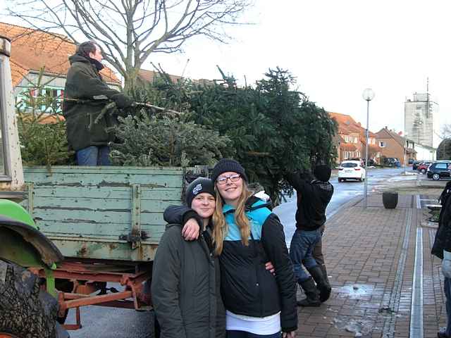 Weihnachtsbaum-Sammlung 2011