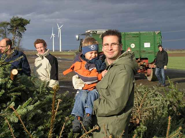 Weihnachtsbaum-Sammlung 2011