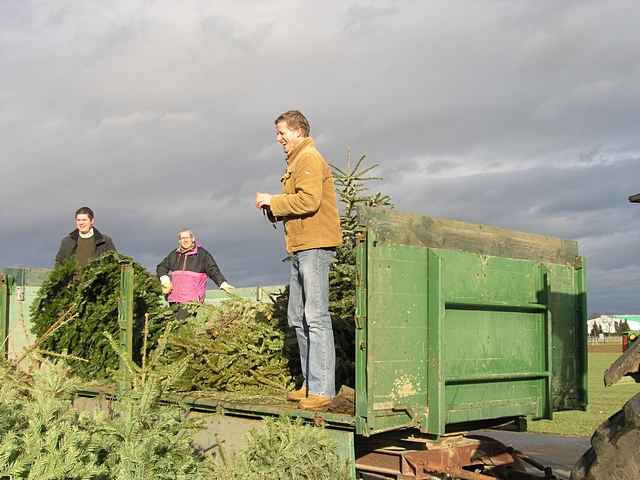 Weihnachtsbaum-Sammlung 2011