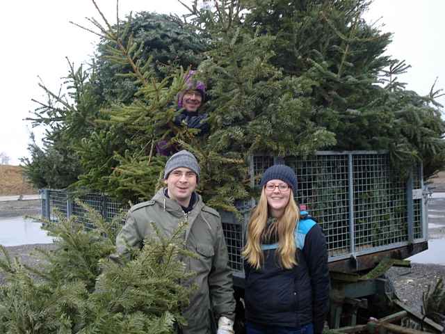 Weihnachtsbaum-Sammlung 2012