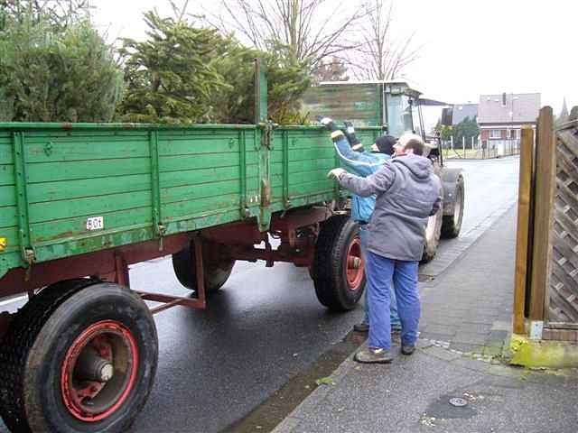 Weihnachtsbaum-Sammlung 2012