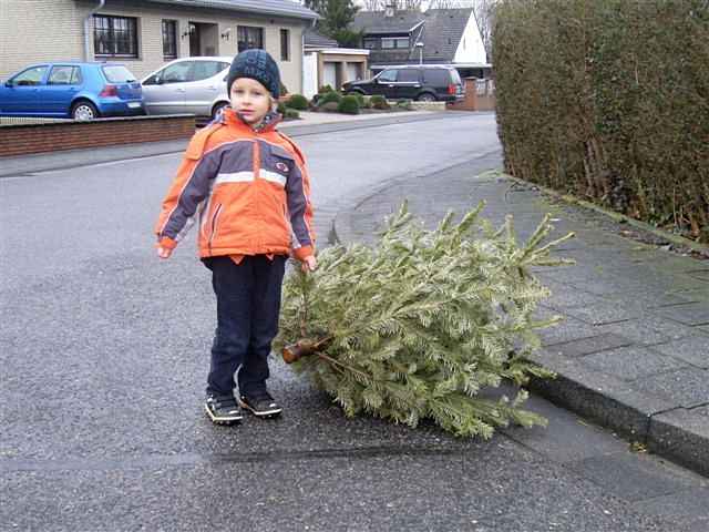 Weihnachtsbaum-Sammlung 2012