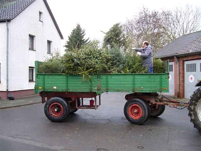 Weihnachtsbaum-Sammlung 2012