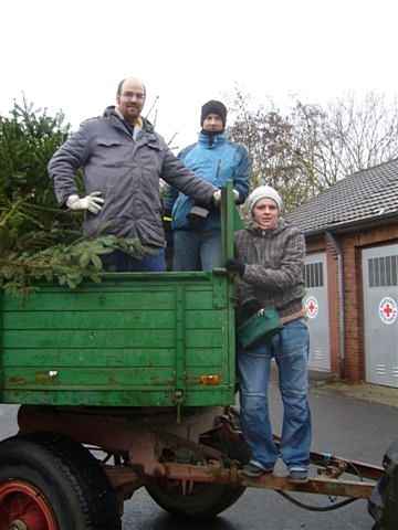 Weihnachtsbaum-Sammlung 2012