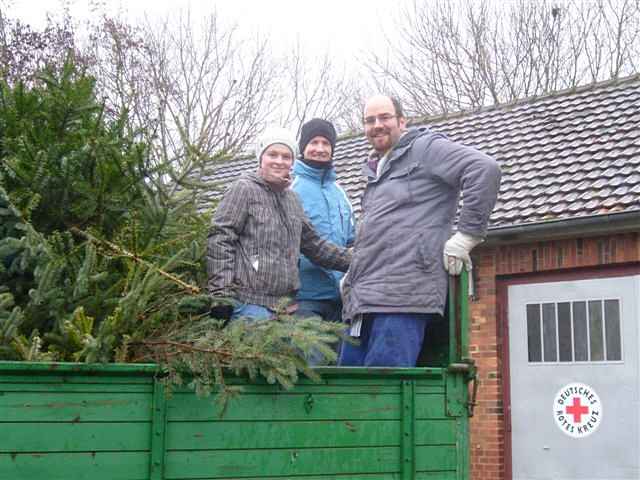 Weihnachtsbaum-Sammlung 2012