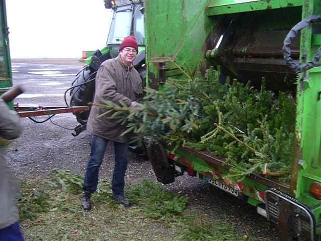 Weihnachtsbaum-Sammlung 2012