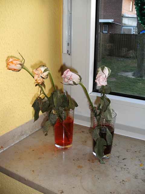 Osterferienaktion 2009
