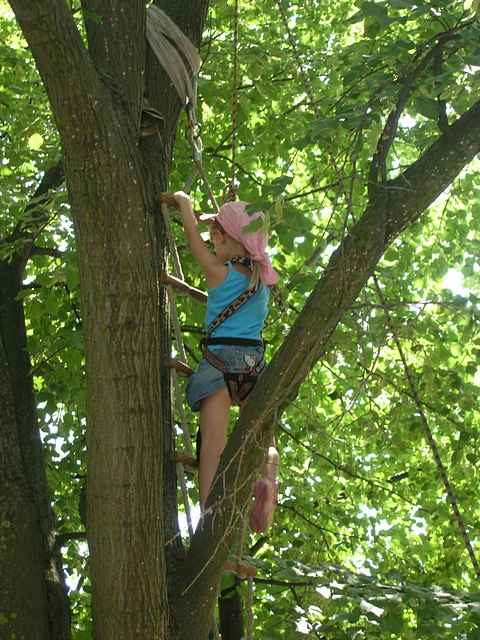 Sommerfest 2010
