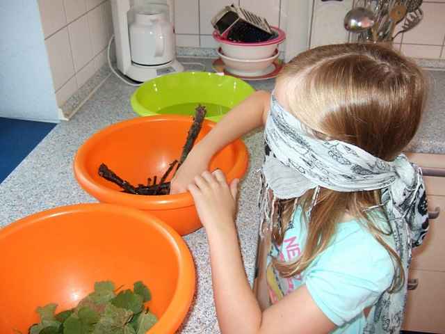 Spielaktionswochen 2011