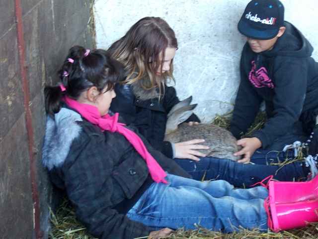 Kinderbibelwoche 2011