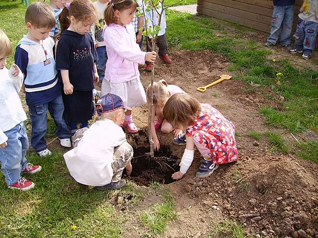 Pflanzaktion im Kindergarten