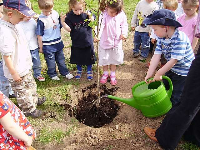 Pflanzaktion im Kindergarten