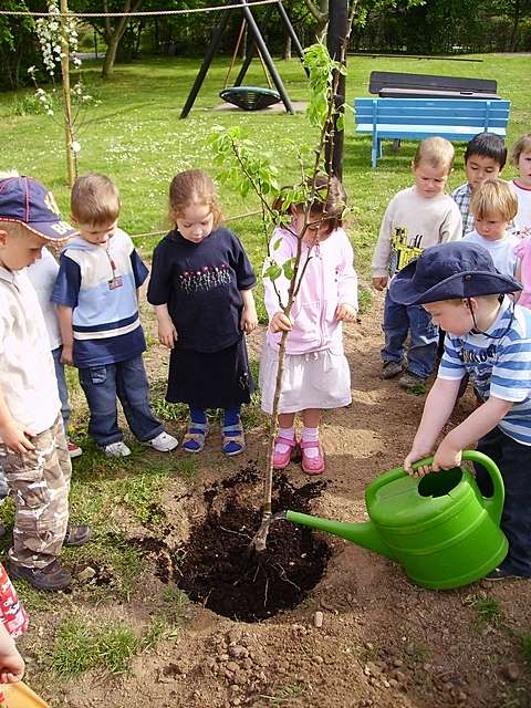 Pflanzaktion im Kindergarten