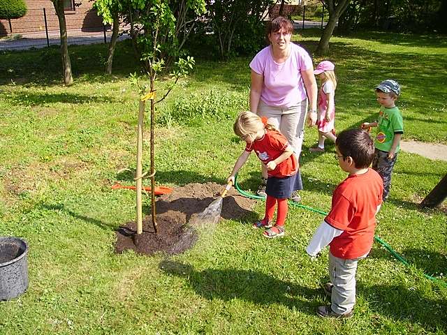 Pflanzaktion im Kindergarten