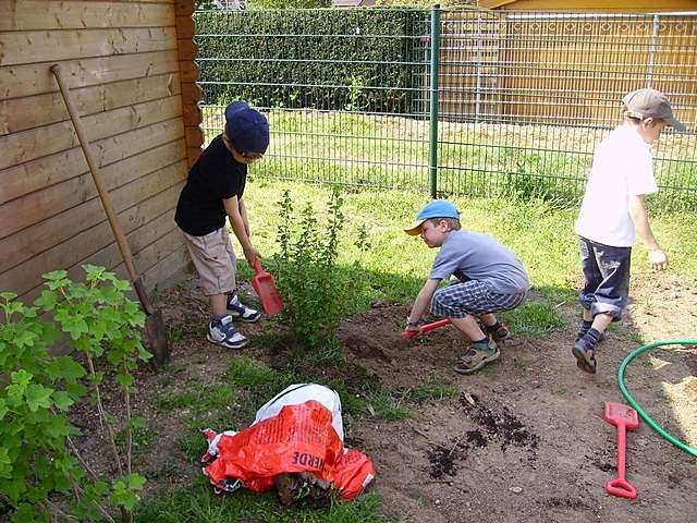 Pflanzaktion im Kindergarten