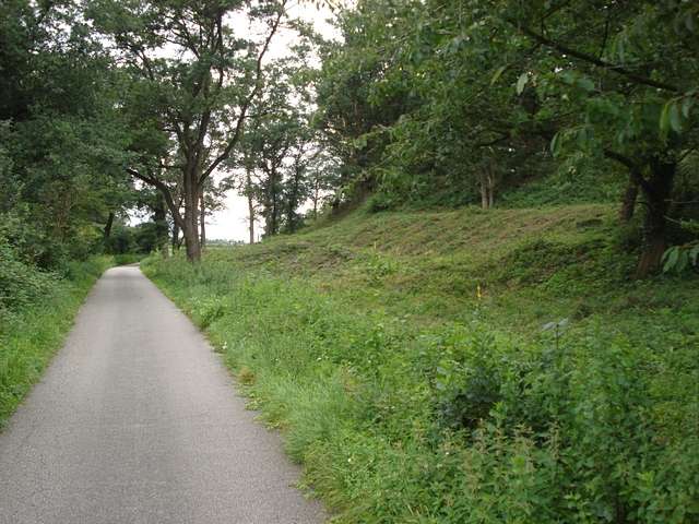 Aufforstung frei geschnitten