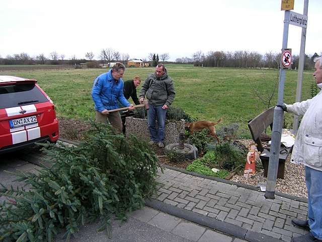 Vorbereitung zum Adventsfenster Lutherstrae