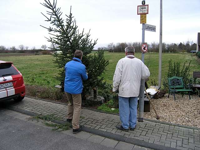 Vorbereitung zum Adventsfenster Lutherstrae