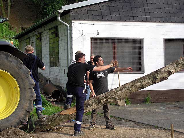 Maibaum 2004 der Jungschtzen