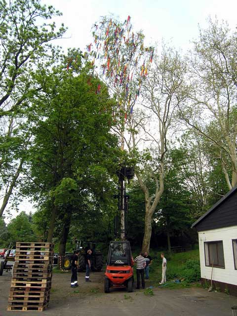 Maibaum 2004 der Jungschtzen