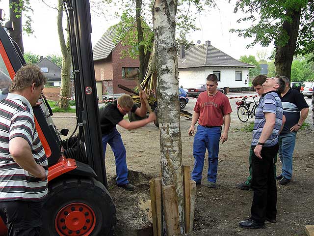 Maibaum 2004 der Jungschtzen