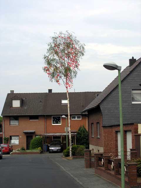 Maibaum 2004 der Elisabethstrae