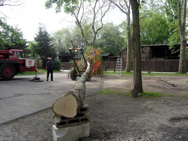 Maibaum 2005 der Jungschtzen