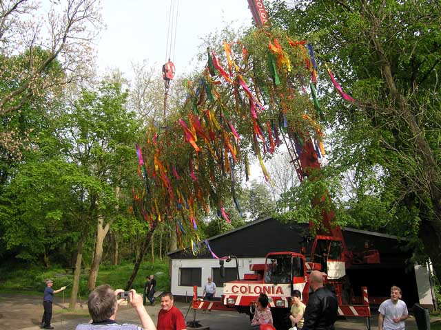 Maibaum 2005 der Jungschtzen