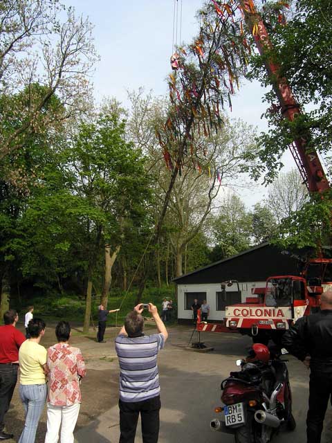 Maibaum 2005 der Jungschtzen