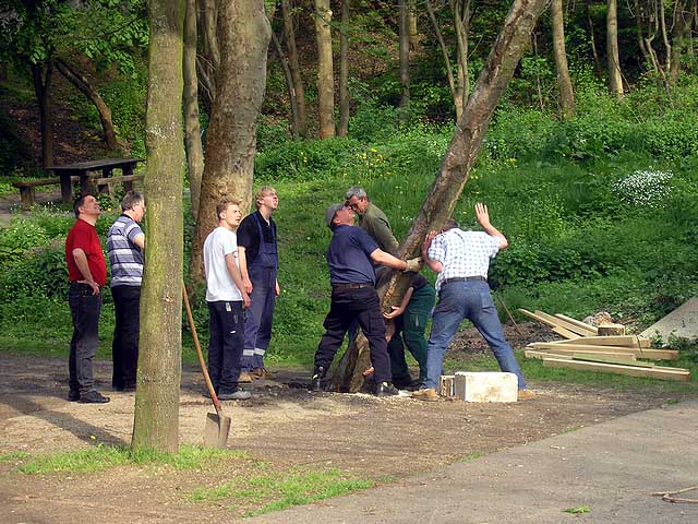 Maibaum 2005 der Jungschtzen