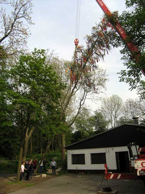 Maibaum 2005 der Jungschtzen