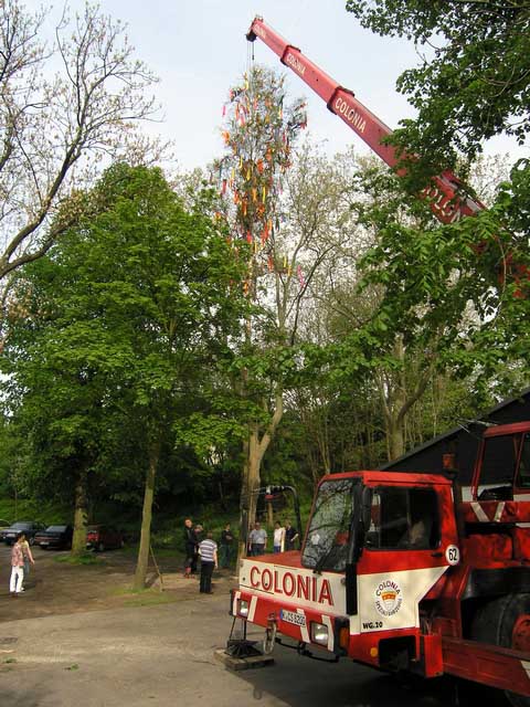 Maibaum 2005 der Jungschtzen