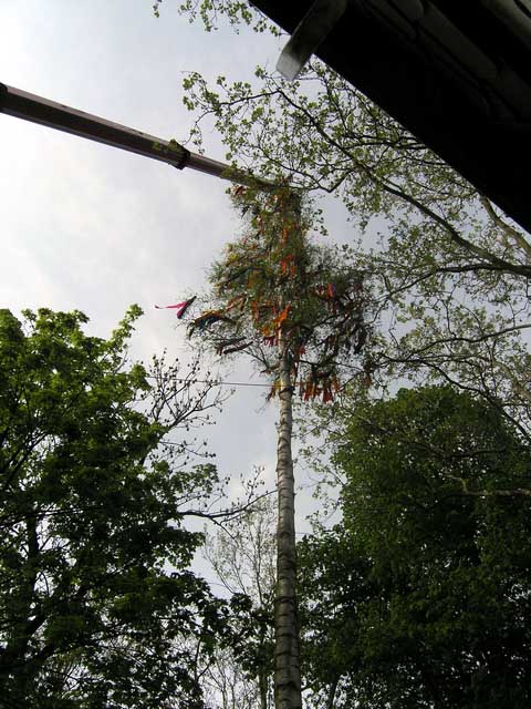 Maibaum 2005 der Jungschtzen