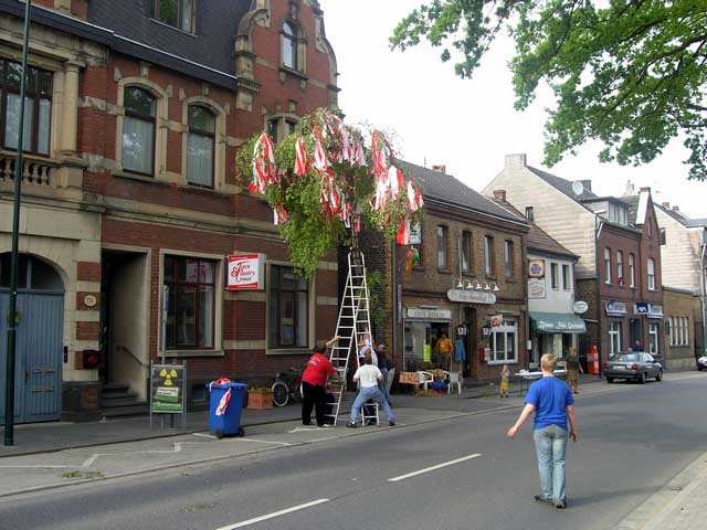 Maibaum 2005 des FC-Fan-Clubs