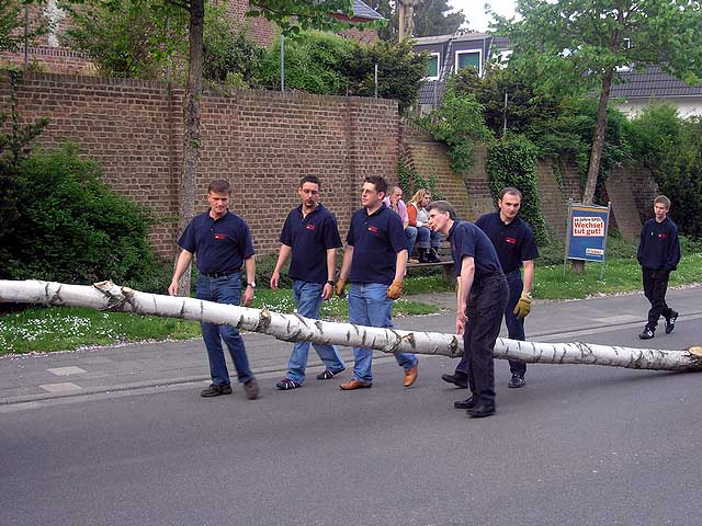 Maibaum 2005 der Feuerwehr