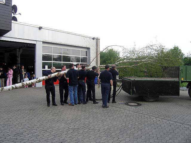 Maibaum 2005 der Feuerwehr