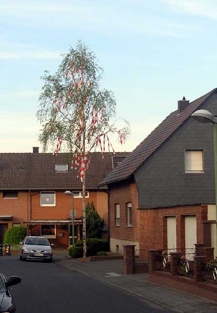 Maibaum 2005 der Elisabethstrae