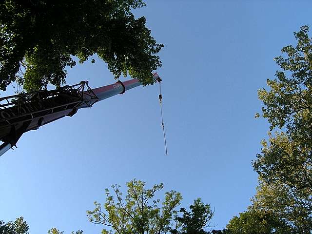 Maibaum 2007 der Jungschtzen