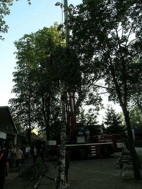 Maibaum 2007 der Jungschtzen