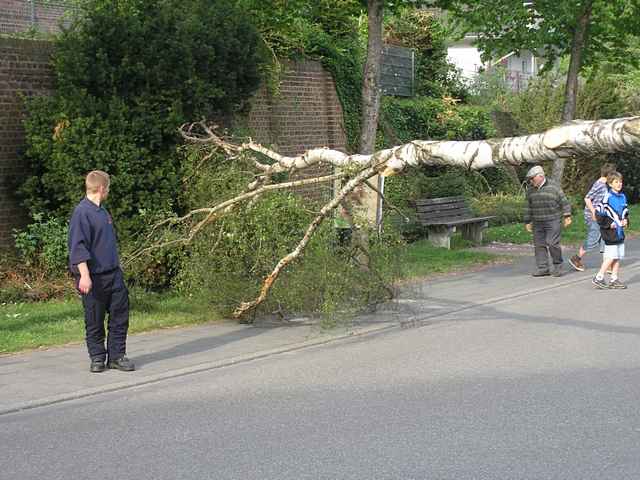 Maibaum der Feuerwehr