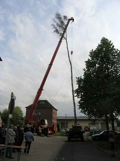 Maibaum der Feuerwehr