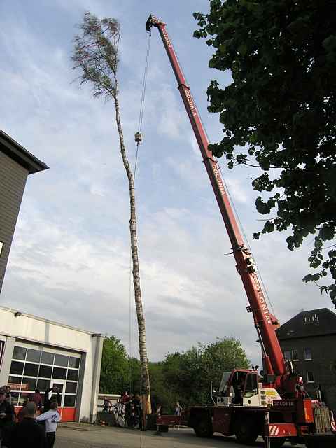 Maibaum der Feuerwehr