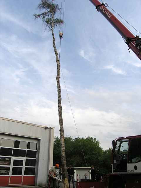 Maibaum der Feuerwehr