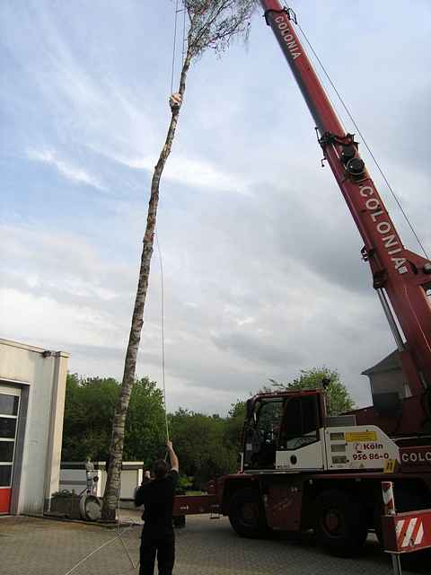 Maibaum der Feuerwehr