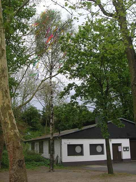 Maibaum der Jungschtzen